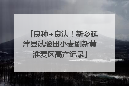 良种+良法！新乡延津县试验田小麦刷新黄淮麦区高产记录