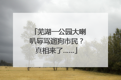 芜湖一公园大喇叭辱骂遛狗市民？真相来了……