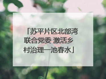 苏平片区北部湾联合党委 激活乡村治理一池春水