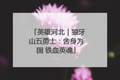 英雄河北｜狼牙山五勇士：舍身为国 铁血英魂
