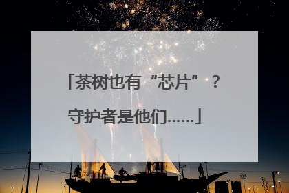 茶树也有“芯片”？守护者是他们……
