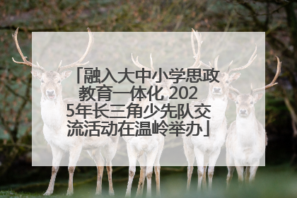 融入大中小学思政教育一体化 2025年长三角少先队交流活动在温岭举办