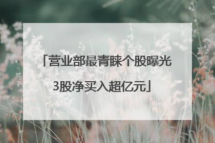 营业部最青睐个股曝光 3股净买入超亿元