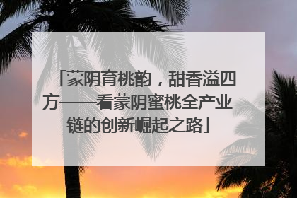 蒙阴育桃韵，甜香溢四方——看蒙阴蜜桃全产业链的创新崛起之路