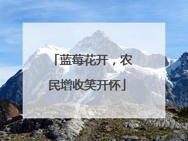 蓝莓花开，农民增收笑开怀