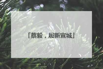 蔡毅，履新宣城