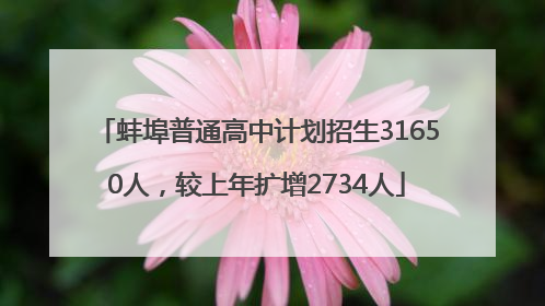 蚌埠普通高中计划招生31650人，较上年扩增2734人