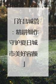 许昌城管：精耕细作守护夏日城市美好容颜