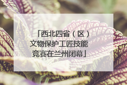 西北四省（区）文物保护工匠技能竞赛在兰州闭幕