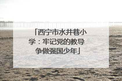西宁市水井巷小学：牢记党的教导 争做强国少年
