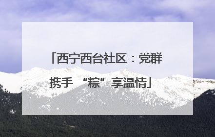 西宁西台社区：党群携手 “粽”享温情