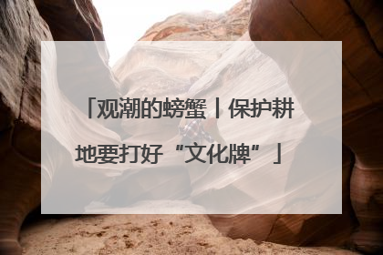 观潮的螃蟹丨保护耕地要打好“文化牌”