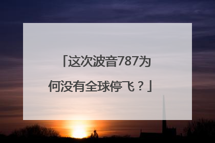 这次波音787为何没有全球停飞？