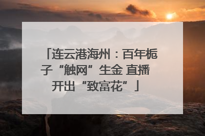 连云港海州：百年栀子“触网”生金 直播开出“致富花”