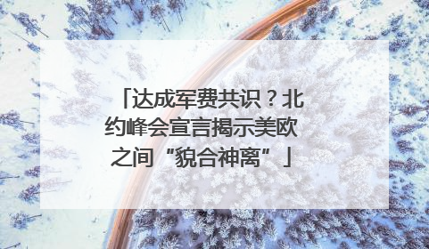 达成军费共识？北约峰会宣言揭示美欧之间“貌合神离”