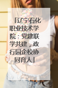 辽宁石化职业技术学院：党建联学共建，政行园企校协同育人