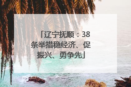 辽宁抚顺：38条举措稳经济、促振兴、勇争先