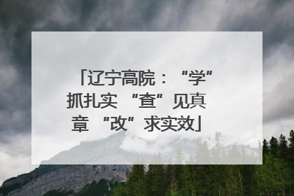辽宁高院：“学”抓扎实 “查”见真章 “改”求实效