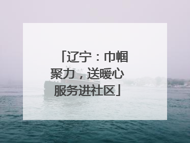 辽宁：巾帼聚力，送暖心服务进社区