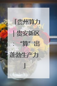 贵州算力｜贵安新区：“算”出蓬勃生产力