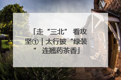 走“三北” 看攻坚①｜太行披“绿装” 连翘药茶香