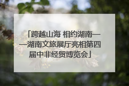 跨越山海 相约湖南——湖南文旅展厅亮相第四届中非经贸博览会