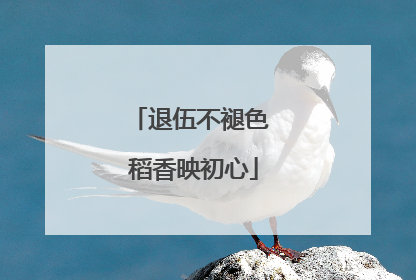退伍不褪色 稻香映初心