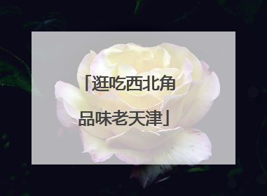 逛吃西北角 品味老天津
