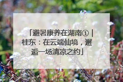 避暑康养在湖南①｜桂东：在云端仙境，邂逅一场清凉之约