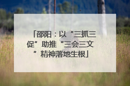 邵阳：以“三抓三促”助推“三会三文”精神落地生根