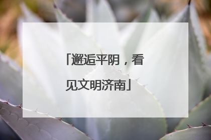 邂逅平阴，看见文明济南