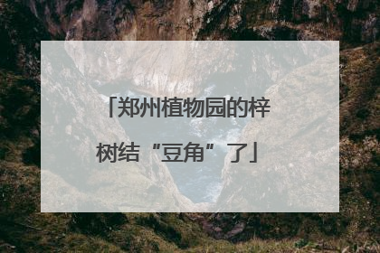 郑州植物园的梓树结“豆角”了