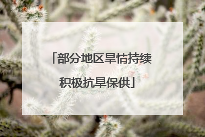 部分地区旱情持续 积极抗旱保供