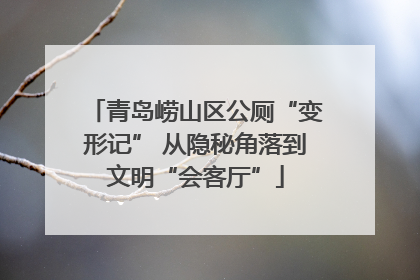 青岛崂山区公厕“变形记” 从隐秘角落到文明“会客厅”