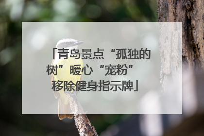 青岛景点“孤独的树”暖心“宠粉” 移除健身指示牌