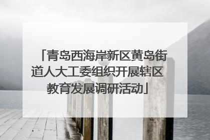 青岛西海岸新区黄岛街道人大工委组织开展辖区教育发展调研活动