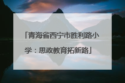 青海省西宁市胜利路小学：思政教育拓新路