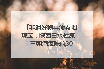 非遗好物再添秦地瑰宝，陕西白水杜康十三朝酒海陈藏30年别具一格
