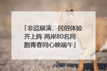 非遗展演、民俗体验齐上阵 两岸80名同胞青春同心映端午