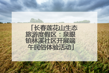 长春莲花山生态旅游度假区：泉眼镇林溪社区开展端午民俗体验活动