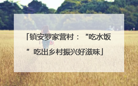 镇安罗家营村：“吃水饭”吃出乡村振兴好滋味