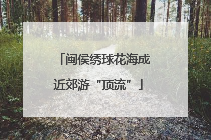 闽侯绣球花海成近郊游“顶流”