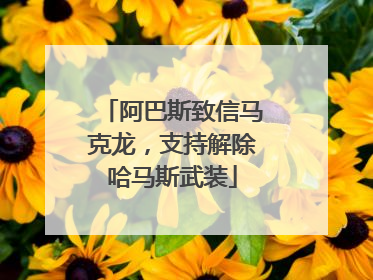 阿巴斯致信马克龙，支持解除哈马斯武装