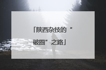 陕西杂技的“破圈”之路