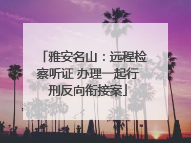 雅安名山：远程检察听证 办理一起行刑反向衔接案