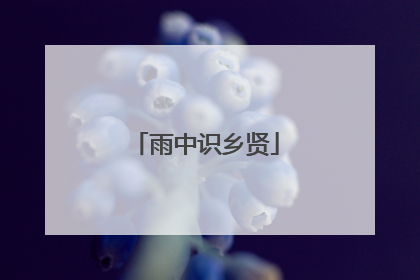 雨中识乡贤