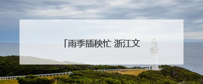 雨季插秧忙 浙江文成“丰”光美如画