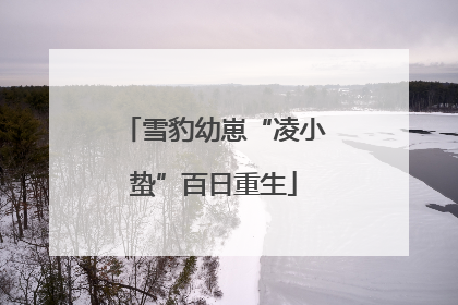 雪豹幼崽“凌小蛰”百日重生