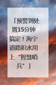 预警到处置15分钟搞定！海宁道路积水用上“智慧哨兵”