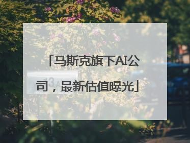 马斯克旗下AI公司，最新估值曝光